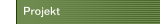 Projekt